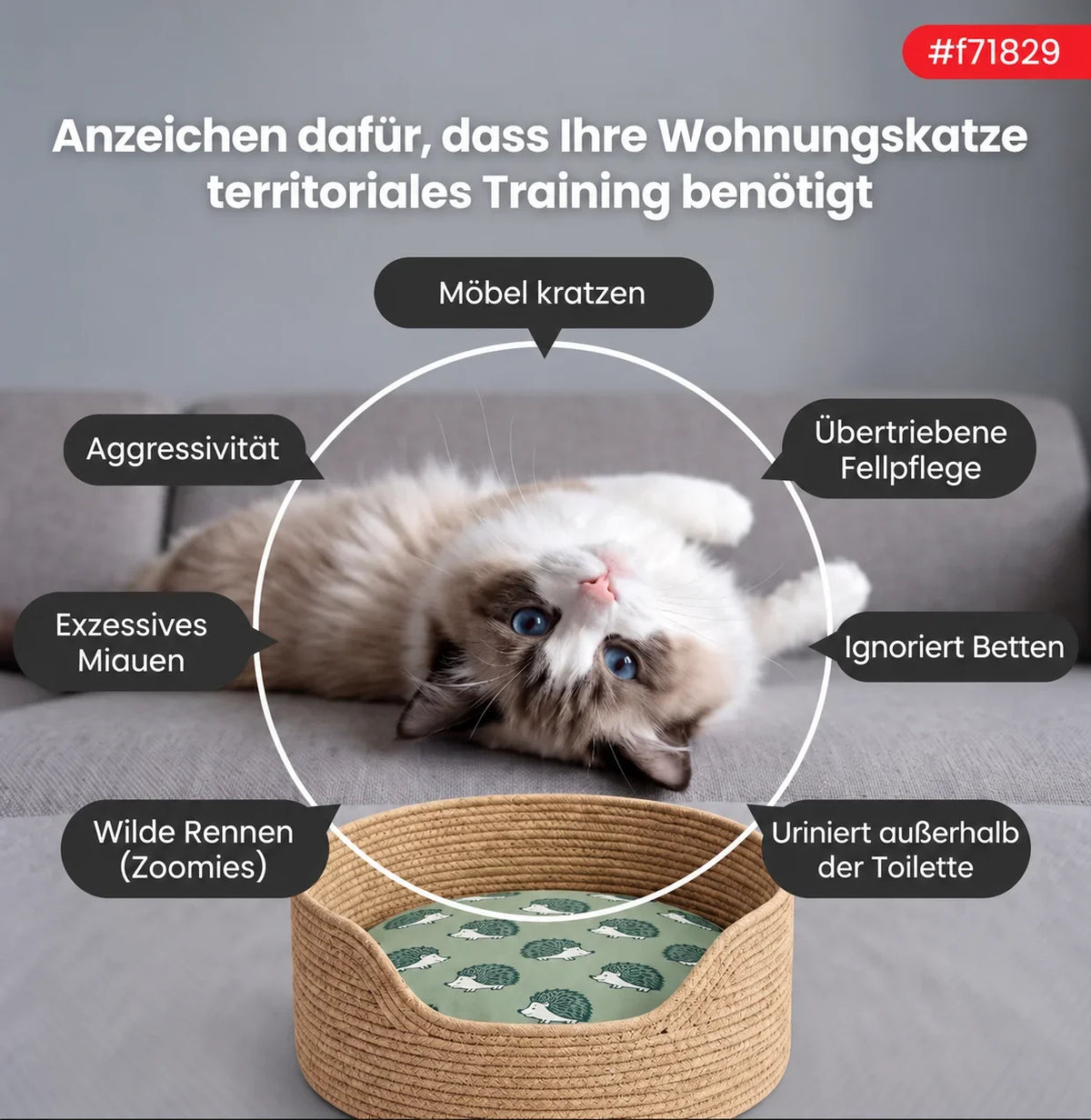 CozyPaws – Ultimativer sicherer Komfort für glückliche, stressfreie Katzen