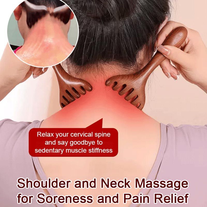 1+1 GRATIS | Meridian-Massagekamm mit sechs Krallen