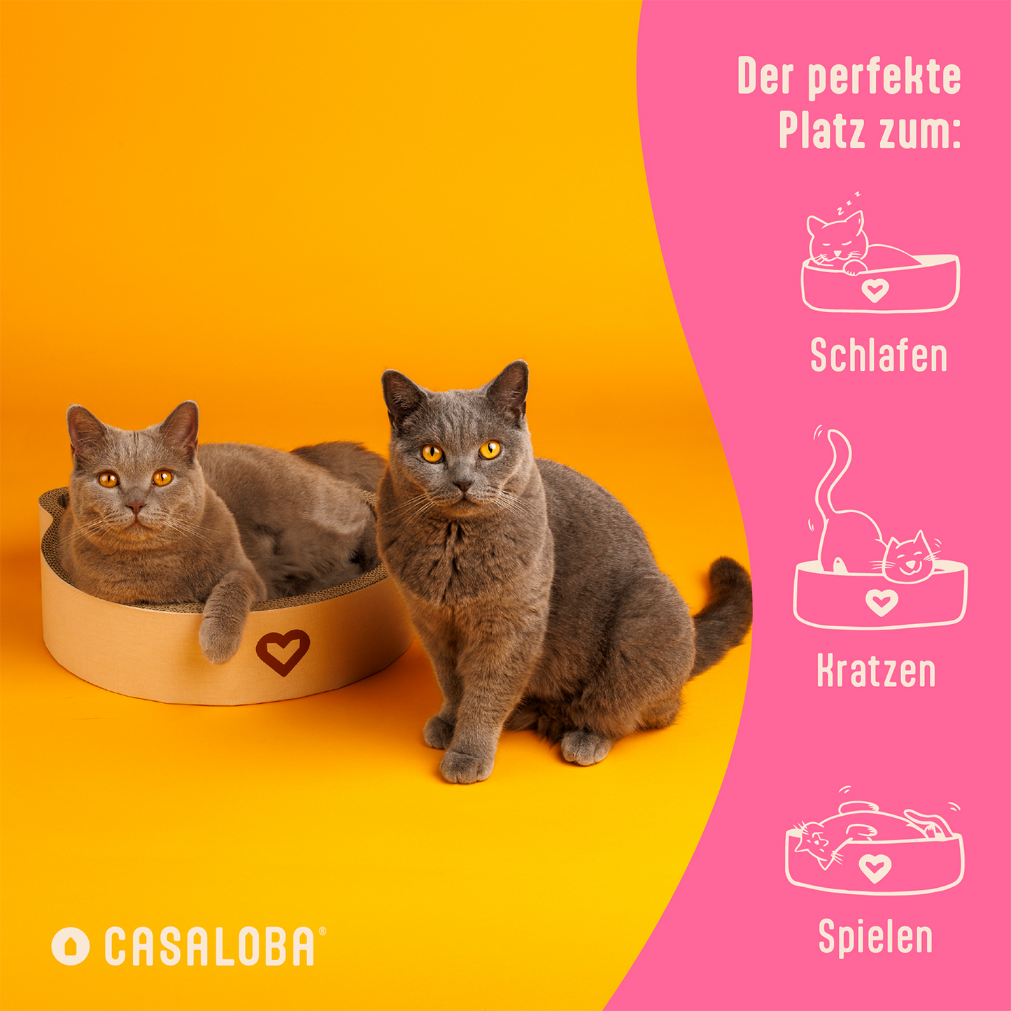 Katzenkratzbett | Kratzen, Schlafen & Spielen