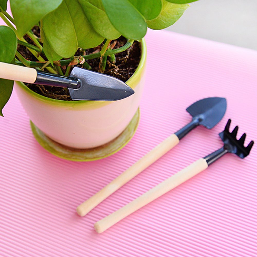TinyTend | Mini-Gartengeräte für deine Zimmerpflanzen!