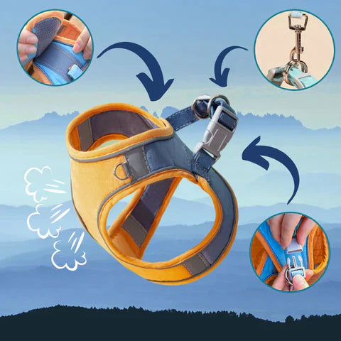 KatzenGürtel- Bequemes Katzengeschirr mit reflektierenden Streifen für sichere Nächte