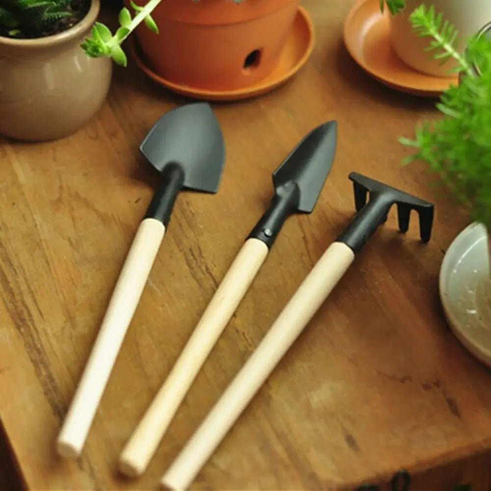 TinyTend | Mini-Gartengeräte für deine Zimmerpflanzen!