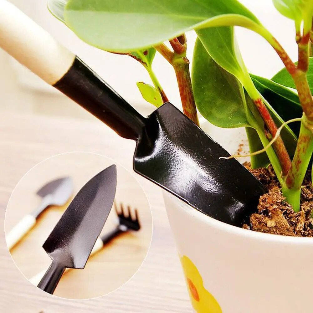 TinyTend | Mini-Gartengeräte für deine Zimmerpflanzen!