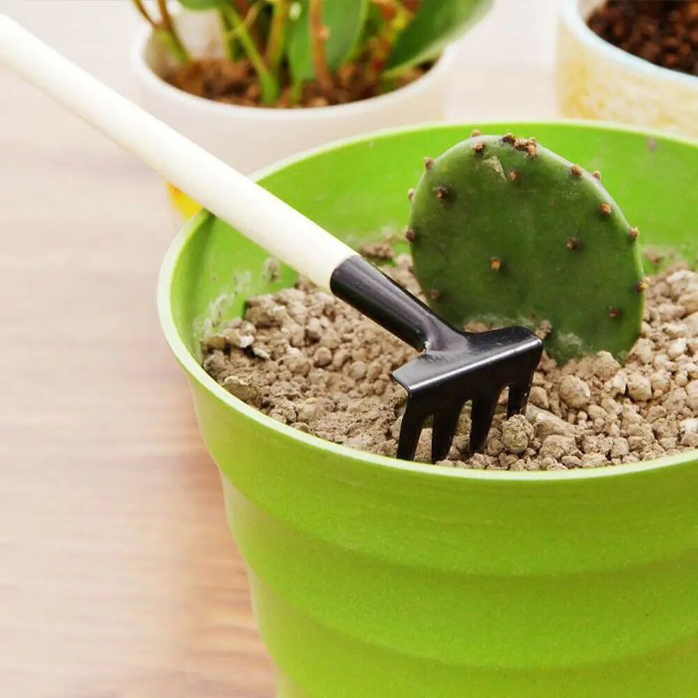 TinyTend | Mini-Gartengeräte für deine Zimmerpflanzen!