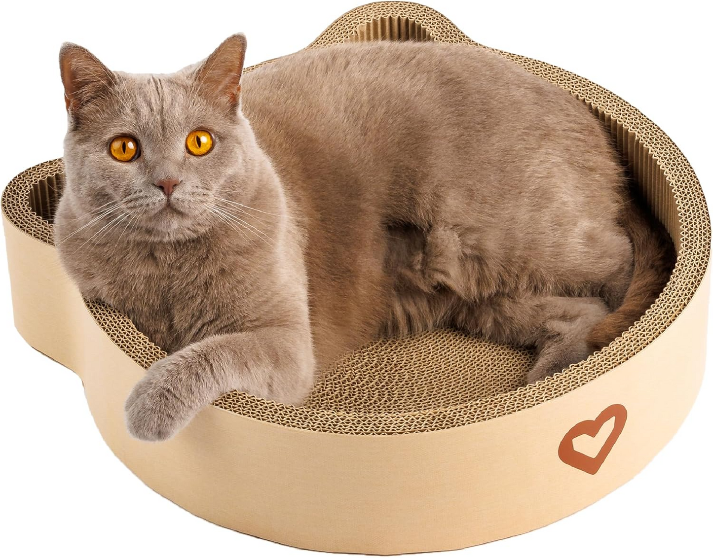 Katzenkratzbett | Kratzen, Schlafen & Spielen