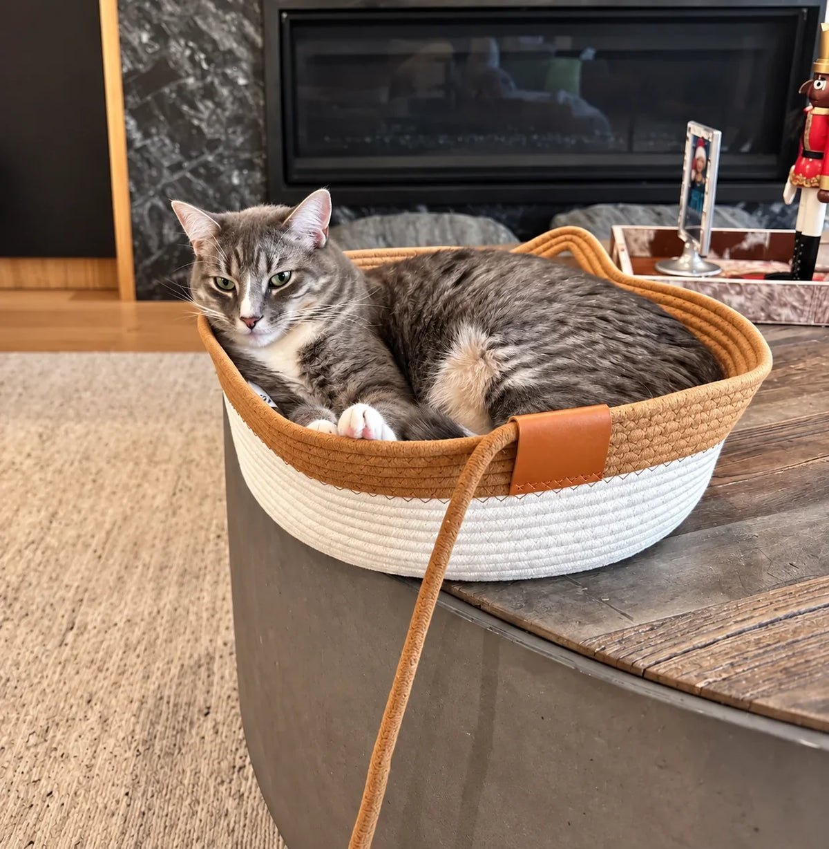 CozyPaws – Ultimativer sicherer Komfort für glückliche, stressfreie Katzen