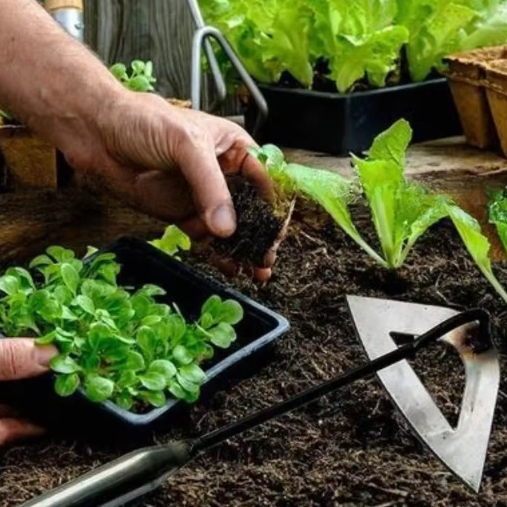 Garten-Unkrautstecher | Aufrecht jäten ohne Bücken | Hohlklinge aus geschmiedetem Stahl | RootPath