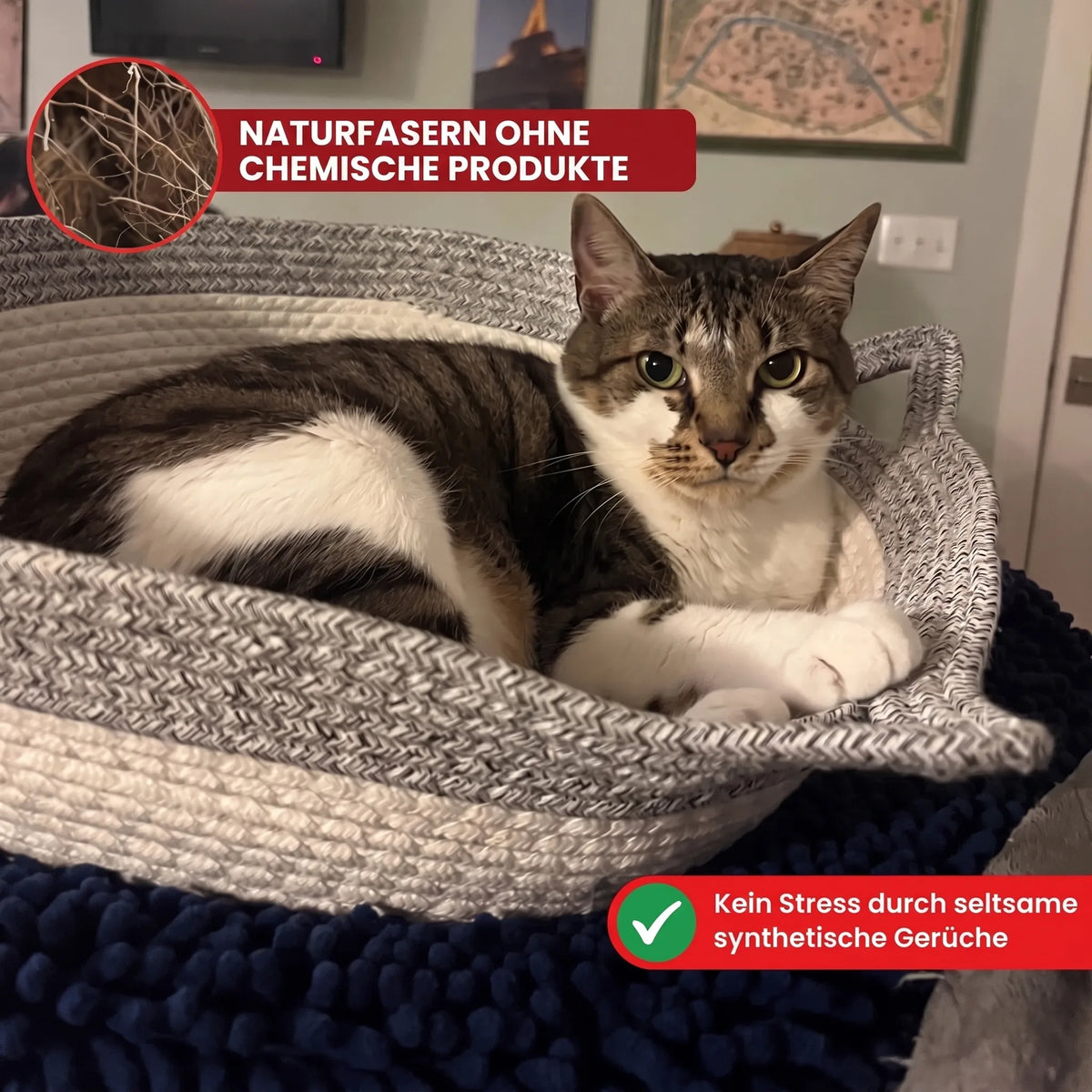 CozyPaws – Ultimativer sicherer Komfort für glückliche, stressfreie Katzen