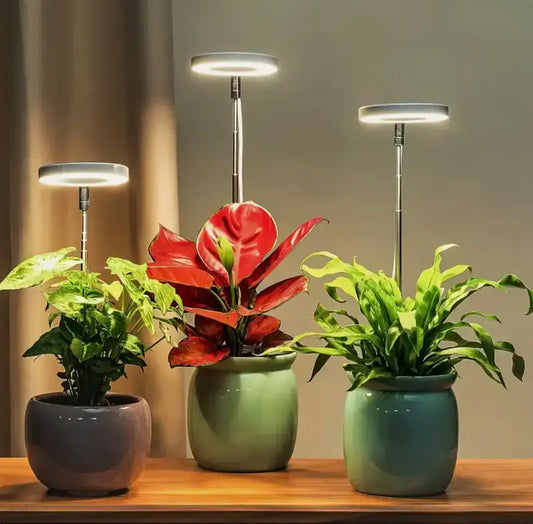 Pflanzenlampe mit Vollspektrum und verstellbarem Ständer