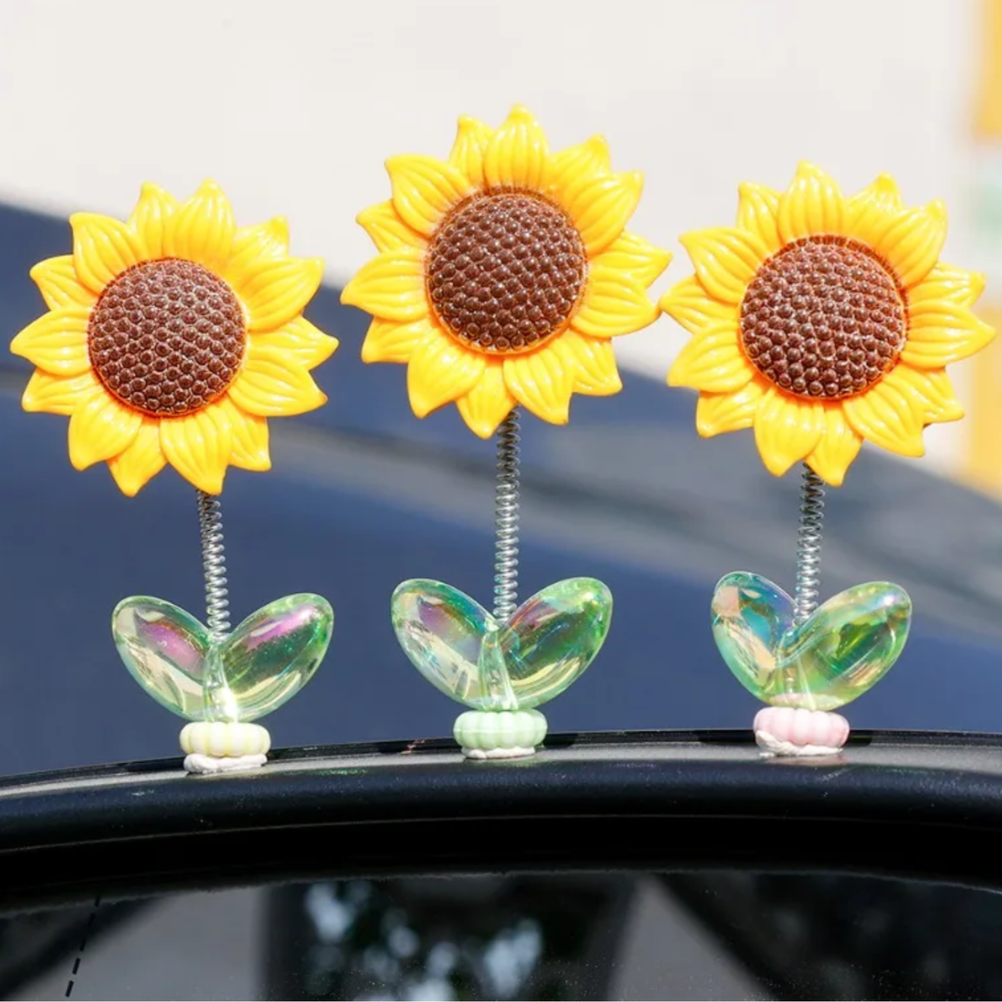 5+5 GRATIS | SpringBuds | Ein bisschen Sprungkraft, jede Menge Freude!
