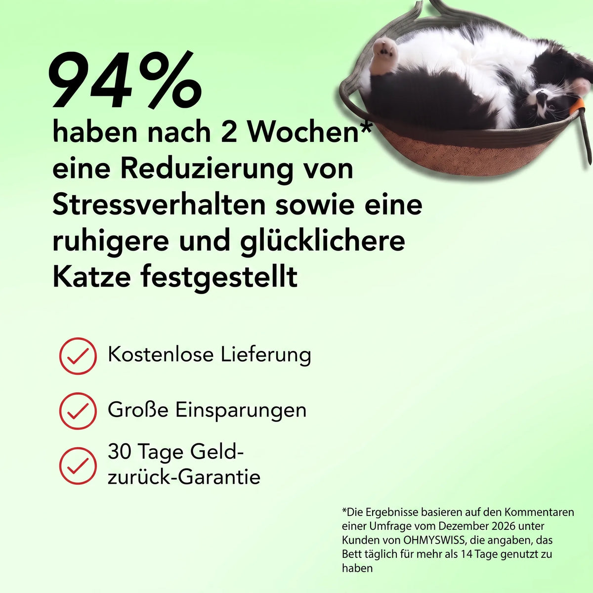 CozyPaws – Ultimativer sicherer Komfort für glückliche, stressfreie Katzen