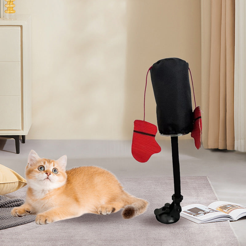 CatFury – Entfessle wilde Verspieltheit