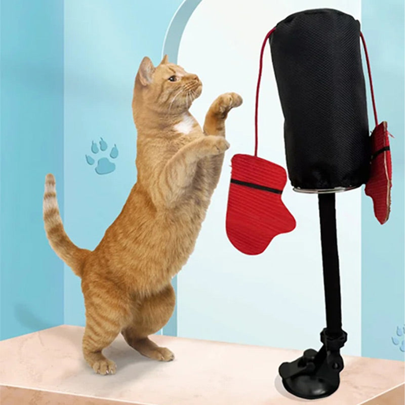 CatFury – Entfessle wilde Verspieltheit