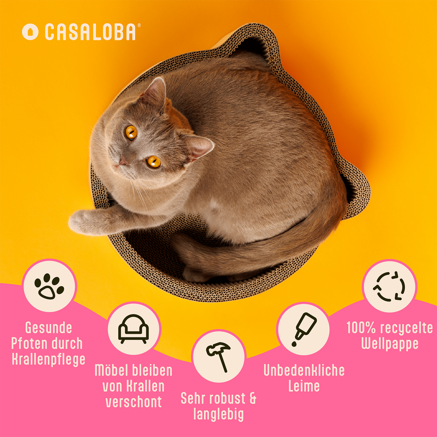 Katzenkratzbett | Kratzen, Schlafen & Spielen