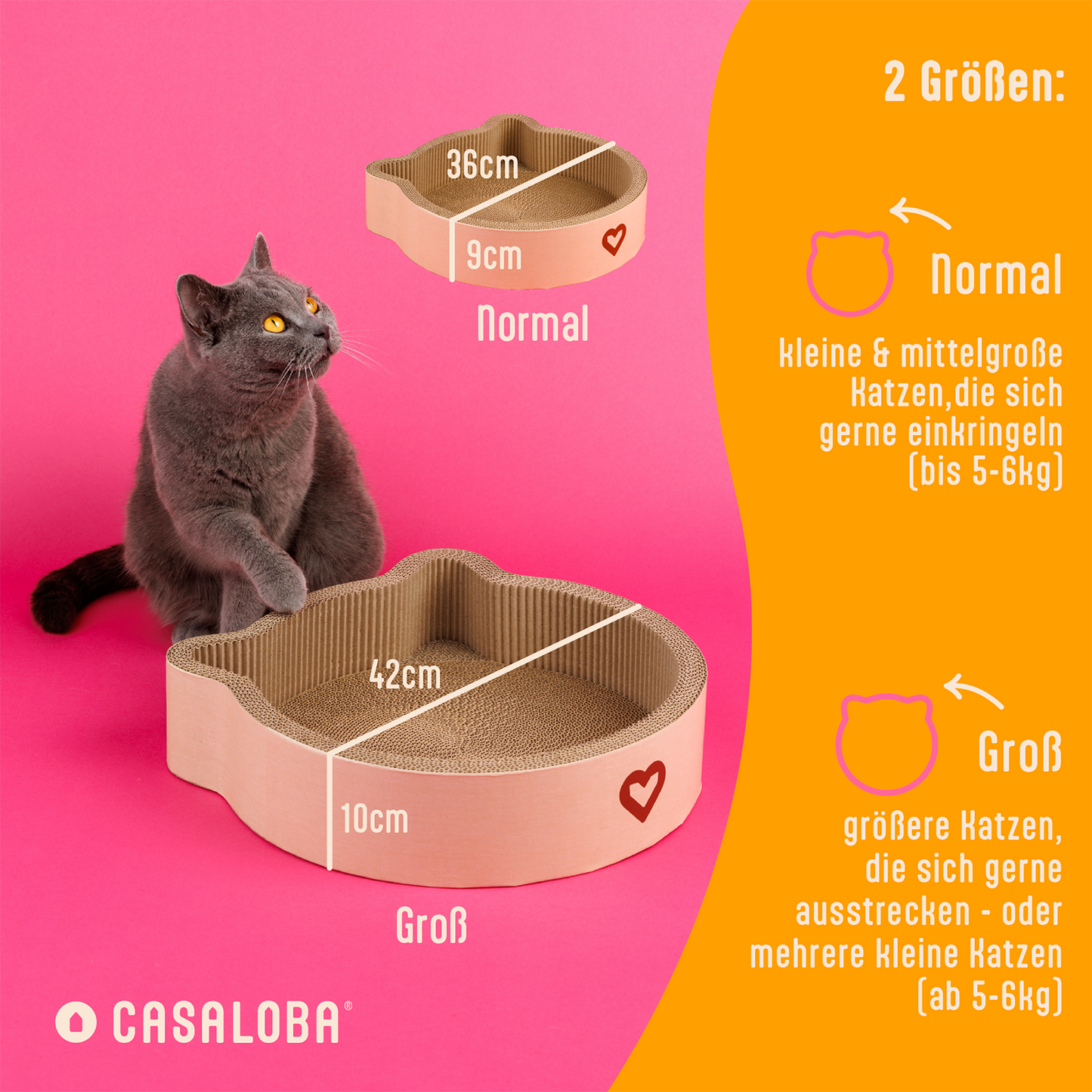 Katzenkratzbett | Kratzen, Schlafen & Spielen