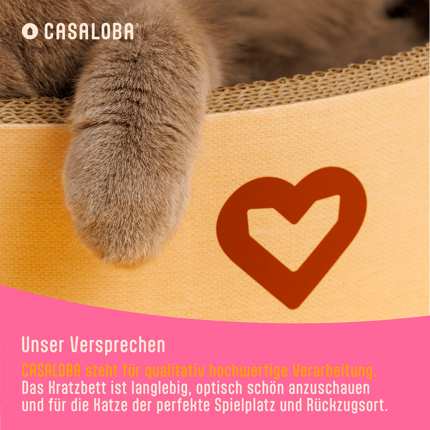 Katzenkratzbett | Kratzen, Schlafen & Spielen