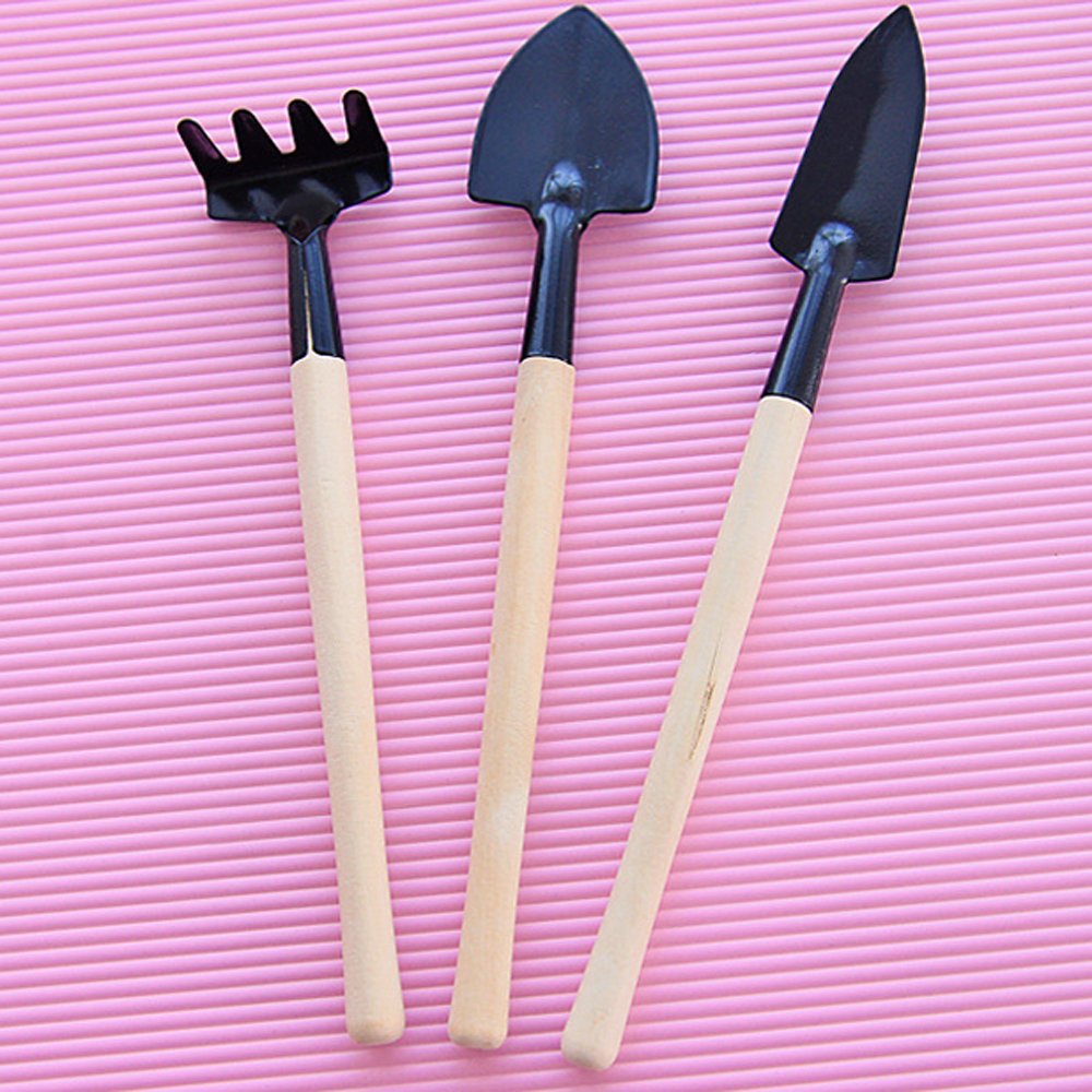TinyTend | Mini-Gartengeräte für deine Zimmerpflanzen!