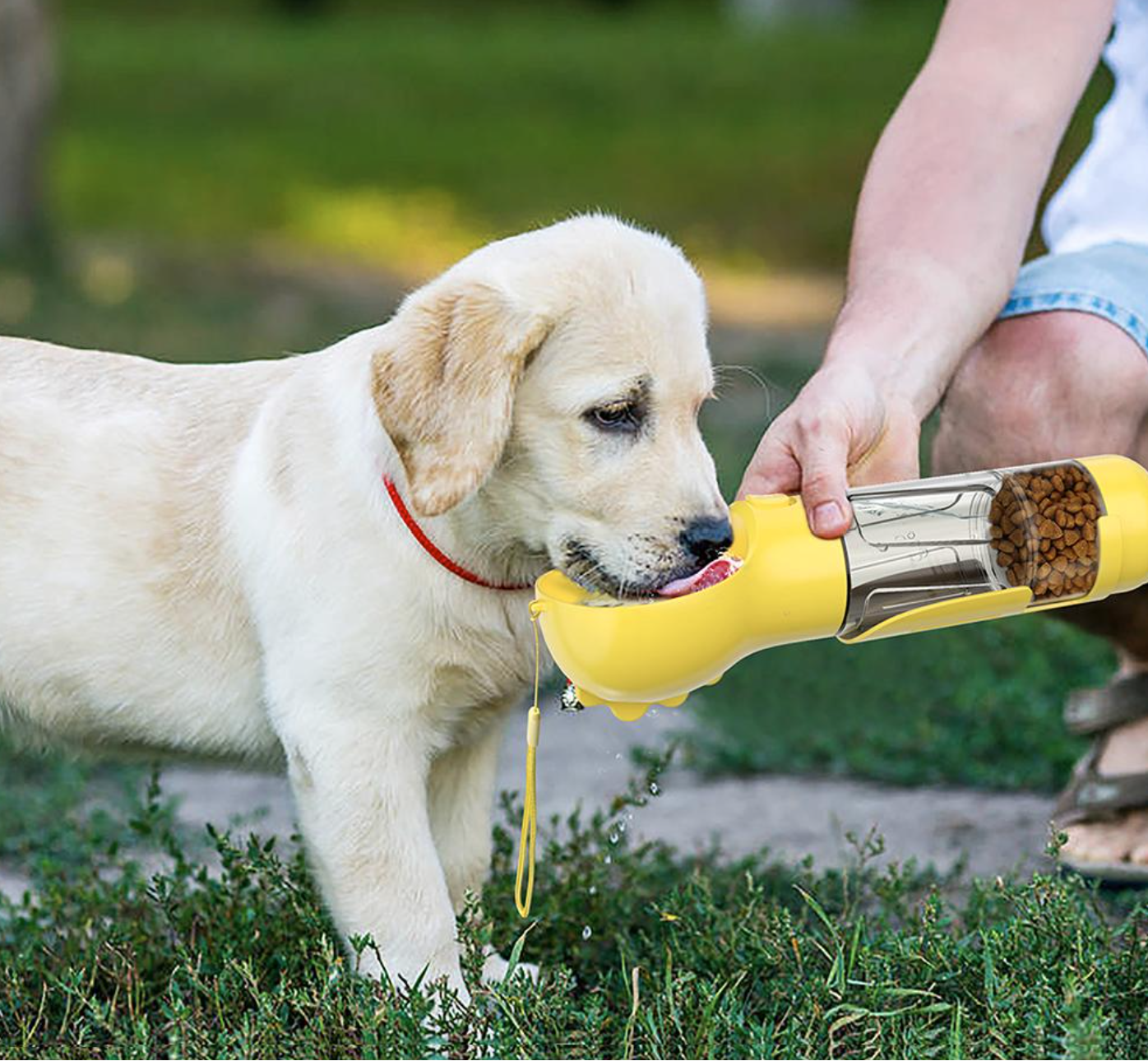 Hunde Durstlösche
