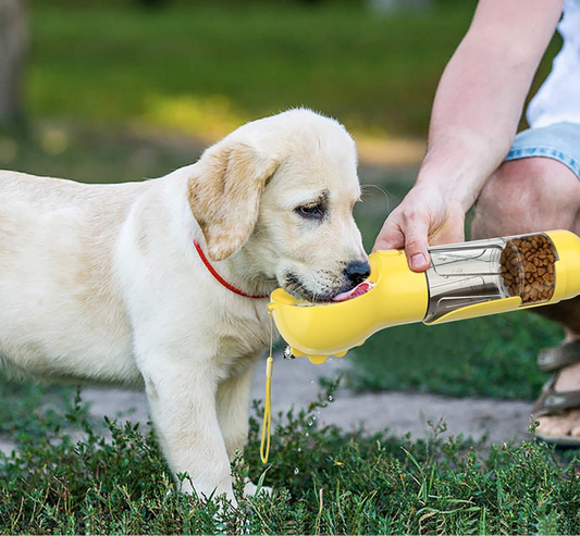Hunde Durstlösche