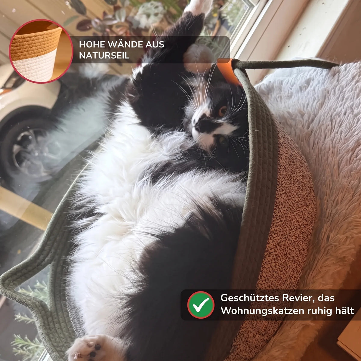 CozyPaws – Ultimativer sicherer Komfort für glückliche, stressfreie Katzen