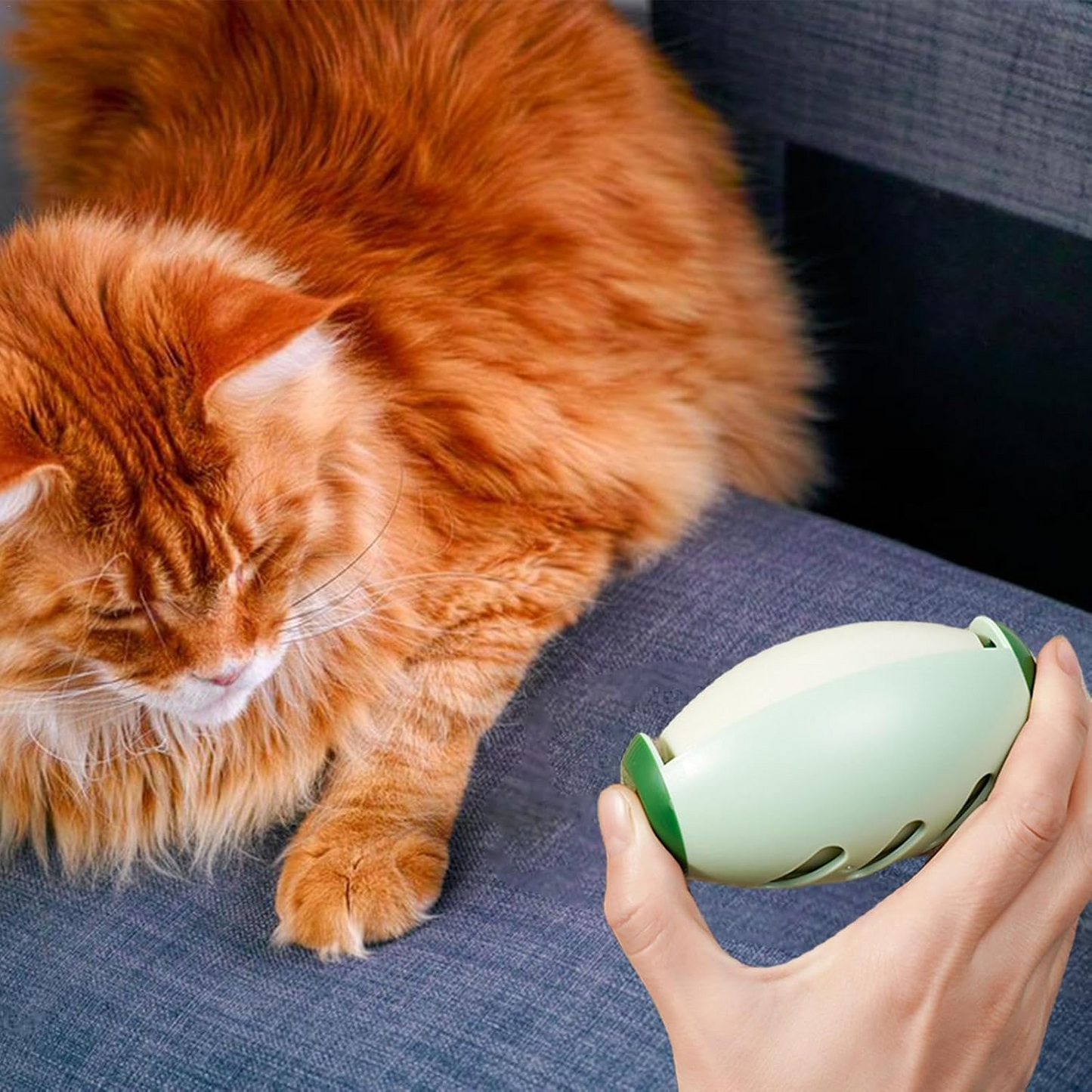 Klebriger wiederverwendbarer Tierhaarentferner | Mini, umweltfreundlich & effektiv