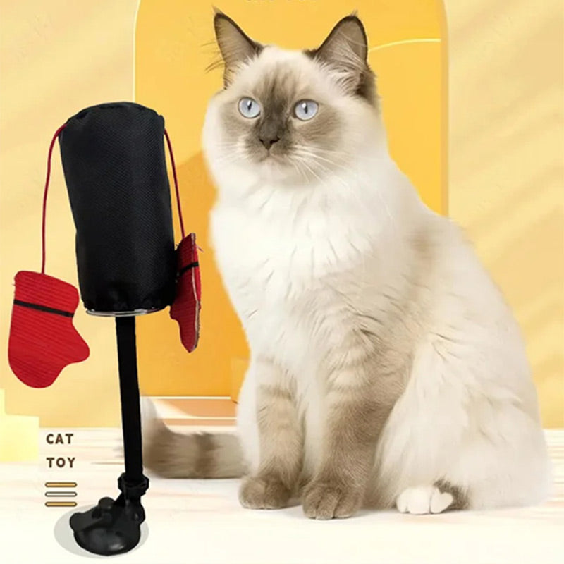 CatFury – Entfessle wilde Verspieltheit